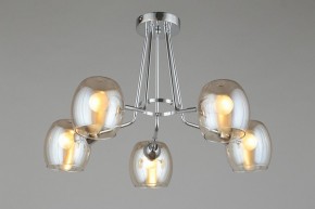 Потолочная люстра Omnilux Tesero OML-27307-05 в Салехарде - salekhard.mebel24.online | фото 6