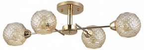 Потолочная люстра Rivoli Amalia Б0050815 в Салехарде - salekhard.mebel24.online | фото