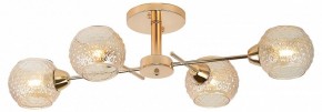 Потолочная люстра Rivoli Amalia Б0050815 в Салехарде - salekhard.mebel24.online | фото 2