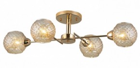 Потолочная люстра Rivoli Amalia Б0050815 в Салехарде - salekhard.mebel24.online | фото 3