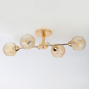 Потолочная люстра Rivoli Amalia Б0050815 в Салехарде - salekhard.mebel24.online | фото 7