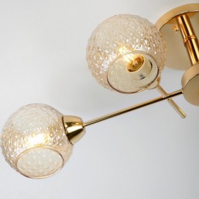 Потолочная люстра Rivoli Amalia Б0050815 в Салехарде - salekhard.mebel24.online | фото 8