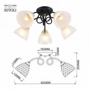 Потолочная люстра Rivoli Luiza Б0054904 в Салехарде - salekhard.mebel24.online | фото 6