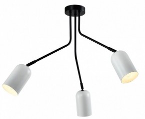 Потолочная люстра Rivoli Rosalinda Б0064987 в Салехарде - salekhard.mebel24.online | фото 2