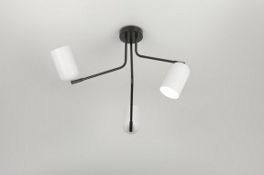 Потолочная люстра Rivoli Rosalinda Б0064987 в Салехарде - salekhard.mebel24.online | фото 7