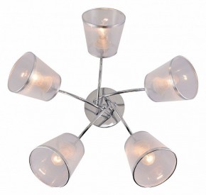 Потолочная люстра Rivoli Shirley Б0059982 в Салехарде - salekhard.mebel24.online | фото 3