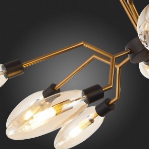 Потолочная люстра ST-Luce Desima SL1174.303.12 в Салехарде - salekhard.mebel24.online | фото 10
