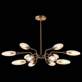 Потолочная люстра ST-Luce Desima SL1174.303.12 в Салехарде - salekhard.mebel24.online | фото 2