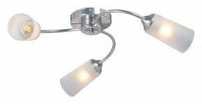 Потолочная люстра Vitaluce V2831 V2831-9/3PL в Салехарде - salekhard.mebel24.online | фото