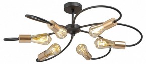 Потолочная люстра Vitaluce V3076 V3076-1/6PL в Салехарде - salekhard.mebel24.online | фото 3
