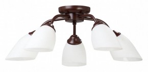 Потолочная люстра Vitaluce V3184 V3252/5PL в Салехарде - salekhard.mebel24.online | фото