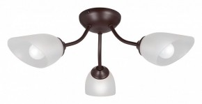 Потолочная люстра Vitaluce V3184 V3404/3PL в Салехарде - salekhard.mebel24.online | фото