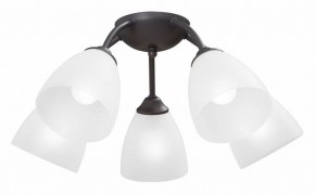 Потолочная люстра Vitaluce V3184 V3737-2/5PL в Салехарде - salekhard.mebel24.online | фото