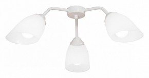 Потолочная люстра Vitaluce V31950 V31950/3PL в Салехарде - salekhard.mebel24.online | фото