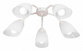 Потолочная люстра Vitaluce V31950 V31950/5PL в Салехарде - salekhard.mebel24.online | фото