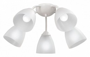 Потолочная люстра Vitaluce V3737 V3737-0/5PL в Салехарде - salekhard.mebel24.online | фото