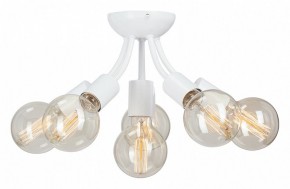 Потолочная люстра Vitaluce V3927 V3927-0/6PL в Салехарде - salekhard.mebel24.online | фото