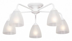 Потолочная люстра Vitaluce  V3946-0/5PL в Салехарде - salekhard.mebel24.online | фото