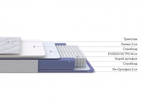 PROxSON Матрас Active Duo S/F (Ткань Трикотаж Эко) 120x200 в Салехарде - salekhard.mebel24.online | фото 2