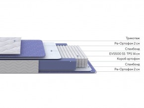 PROxSON Матрас Active F (Ткань Трикотаж Эко) 80x195 в Салехарде - salekhard.mebel24.online | фото 2