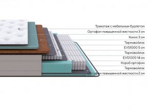 PROxSON Матрас Elysium Firm (Трикотаж Spiral-RT) 90x200 в Салехарде - salekhard.mebel24.online | фото 2