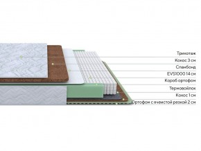 PROxSON Матрас Green Duo M/F (Tricotage Dream) 140x195 в Салехарде - salekhard.mebel24.online | фото 2