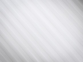 PROxSON Подушка Terra Ergo (Страйп сатин) 40x60 в Салехарде - salekhard.mebel24.online | фото 8