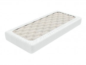 PROxSON Защитный чехол Aqua Save Light S (Ткань влагостойкая Tencel Jersey) 90x220 в Салехарде - salekhard.mebel24.online | фото 2