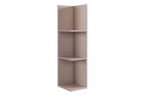 РИЧ Полка навесная 2 (кашемир) в Салехарде - salekhard.mebel24.online | фото 4