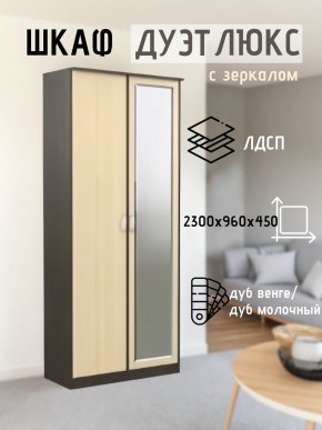 Шкаф 2-х створчатый Дуэт Люкс с зеркалом в Салехарде - salekhard.mebel24.online | фото