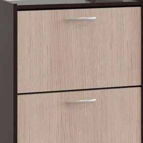 Шкаф для обуви ТО-24 в Салехарде - salekhard.mebel24.online | фото 4