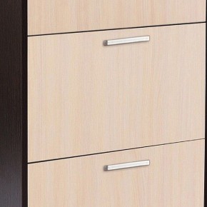 Шкаф для обуви УК-4 в Салехарде - salekhard.mebel24.online | фото 2