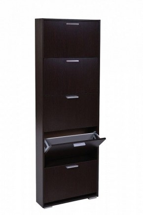 Шкаф для обуви УК-5 10000130 в Салехарде - salekhard.mebel24.online | фото