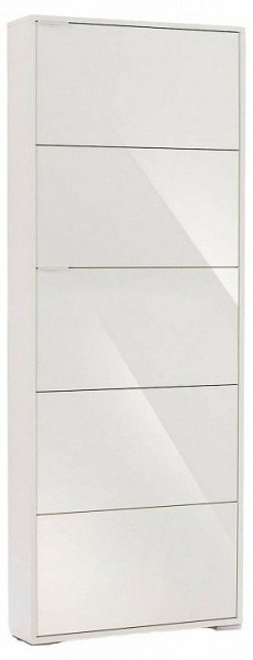 Шкаф для обуви Viva-5S в Салехарде - salekhard.mebel24.online | фото