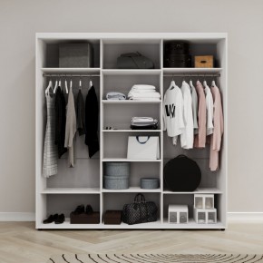 Шкаф-купе Акцент-Сим Д 2400-600 в Салехарде - salekhard.mebel24.online | фото 2