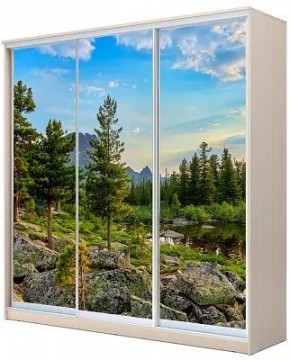 Шкаф-купе ХИТ 22-20-777 ПРИРОДА в Салехарде - salekhard.mebel24.online | фото