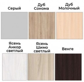 Шкаф-купе ХИТ 22-4-12/2-77 (420) в Салехарде - salekhard.mebel24.online | фото 3