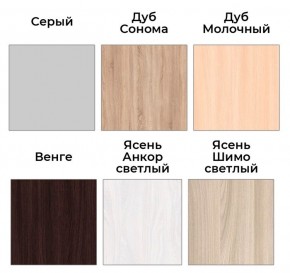 Шкаф-купе ХИТ 22-4-14-11 (420) в Салехарде - salekhard.mebel24.online | фото 5