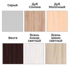 Шкаф-купе ХИТ 22-4-17-55 (420) в Салехарде - salekhard.mebel24.online | фото 3
