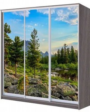 Шкаф-купе ХИТ 22-4-18/2-777 ПРИРОДА в Салехарде - salekhard.mebel24.online | фото