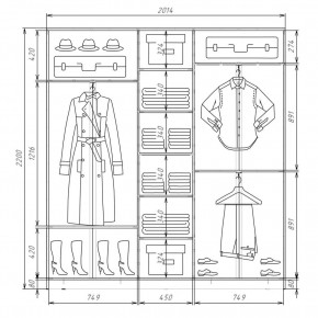 Шкаф-купе ХИТ 22-4-20-555 (420) в Салехарде - salekhard.mebel24.online | фото 2