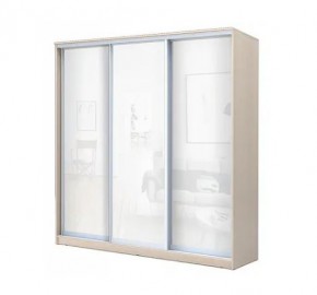 Шкаф-купе ХИТ 22-4-20-888 (420) в Салехарде - salekhard.mebel24.online | фото 4