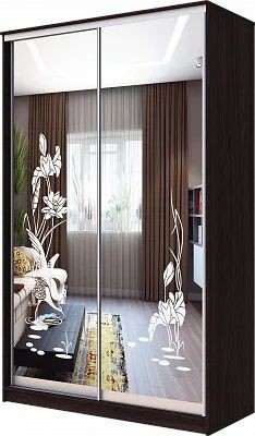 Шкаф-купе ХИТ 23-15-66 ЦАПЛИ в Салехарде - salekhard.mebel24.online | фото