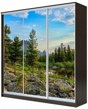 Шкаф-купе ХИТ 23-20/2-777 ПРИРОДА в Салехарде - salekhard.mebel24.online | фото