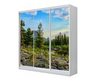 Шкаф-купе ХИТ 23-4-20-777 (420) в Салехарде - salekhard.mebel24.online | фото