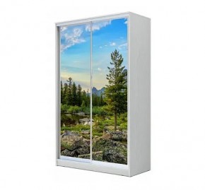 Шкаф-купе ХИТ 24-12/2-77 (620) в Салехарде - salekhard.mebel24.online | фото