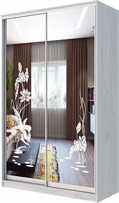Шкаф-купе ХИТ 24-14-66 ЦАПЛИ в Салехарде - salekhard.mebel24.online | фото