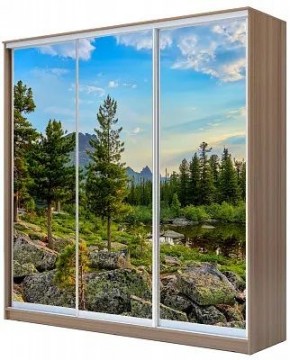 Шкаф-купе ХИТ 24-18-777 ПРИРОДА в Салехарде - salekhard.mebel24.online | фото