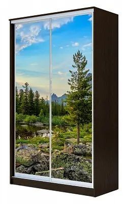 Шкаф-купе ХИТ 24-4-14-77 ПРИРОДА в Салехарде - salekhard.mebel24.online | фото