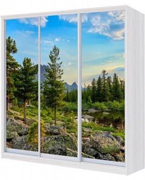 Шкаф-купе ХИТ 24-4-18-777 ПРИРОДА в Салехарде - salekhard.mebel24.online | фото